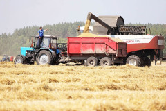 Посевные площади под зерновыми понемногу сокращаются в пользу масличных и зернобобовых. / Татьяна Андреева